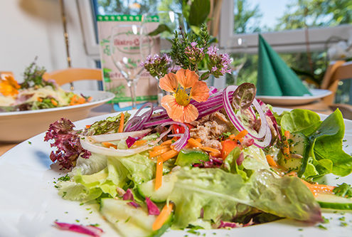 Bunter Salat mit Thunfisch